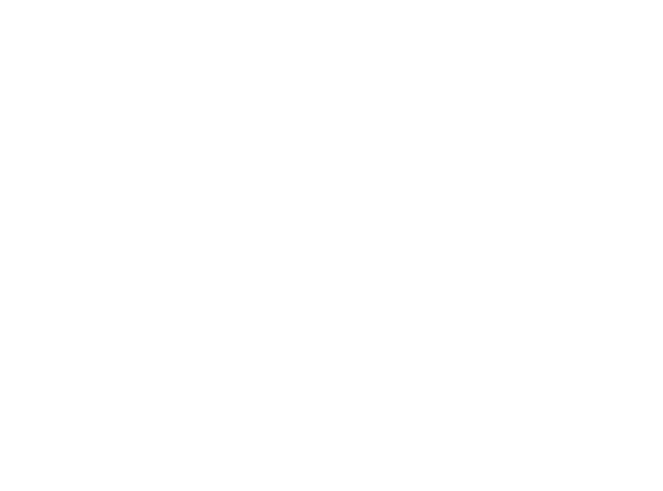 Logo VDM Horses
